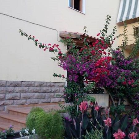 Al Trentados Bed & Breakfast Alghero Exterior photo